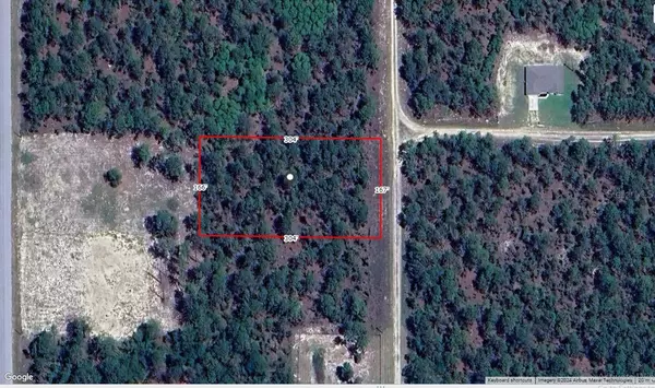 Dunnellon, FL 34432,SW 128TH TERRACE RD