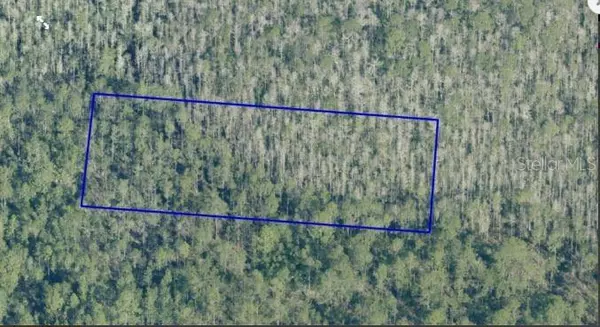 Orlando, FL 32820,DILL RD