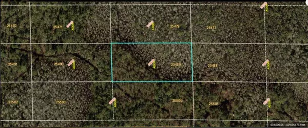 Orlando, FL 32820,DILL RD