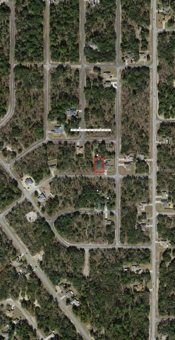 Citrus Springs, FL 34434,1245 W MCNEAL DR