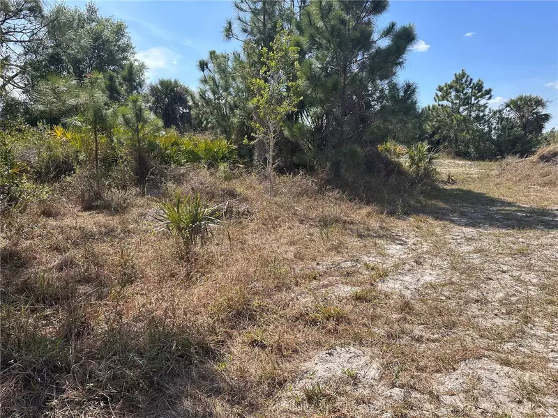 2817 56TH ST W, Lehigh Acres, FL 33971