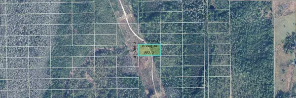 Orlando, FL 32820,DILL RD