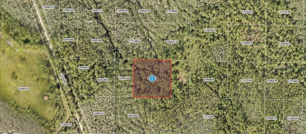 SALYERS RD, Clermont, FL 34714