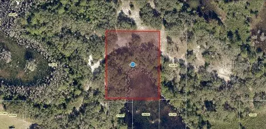 Clermont, FL 34711,ROYS RD