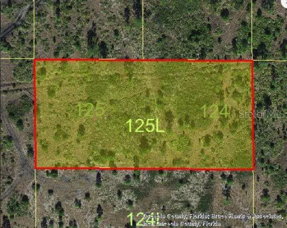 St Cloud, FL 34773,HOLOPAW GROVES RD