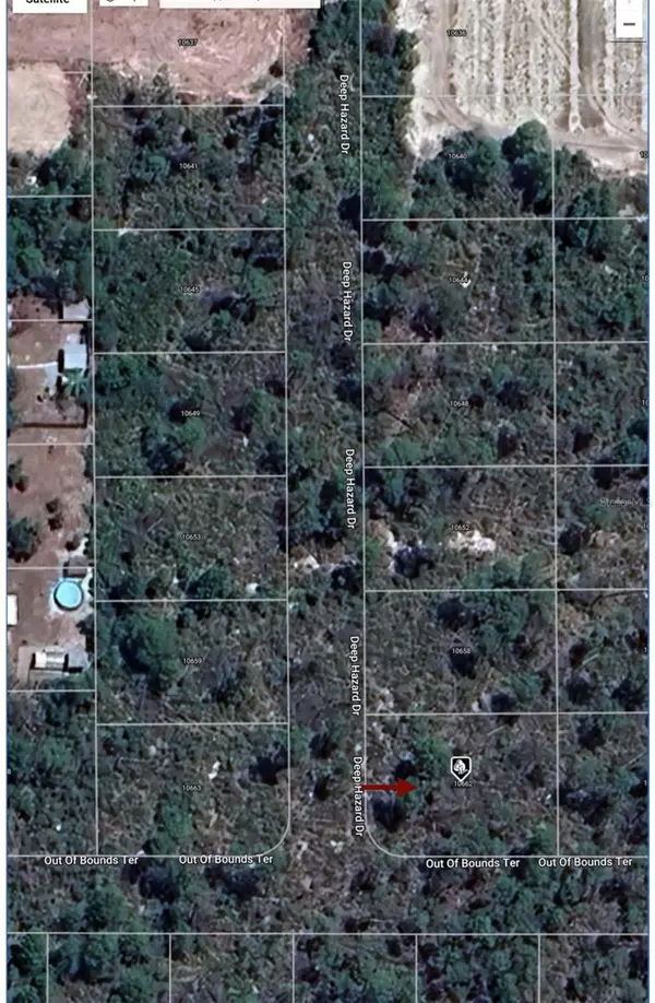 Sebring, FL 33875,10662 DEEP HAZARD DR