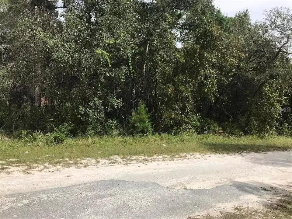 Weeki Wachee, FL 34613,9031 CARRIE WAY