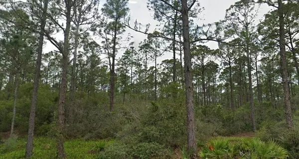 230 SUN WAY DR, Lake Placid, FL 33852