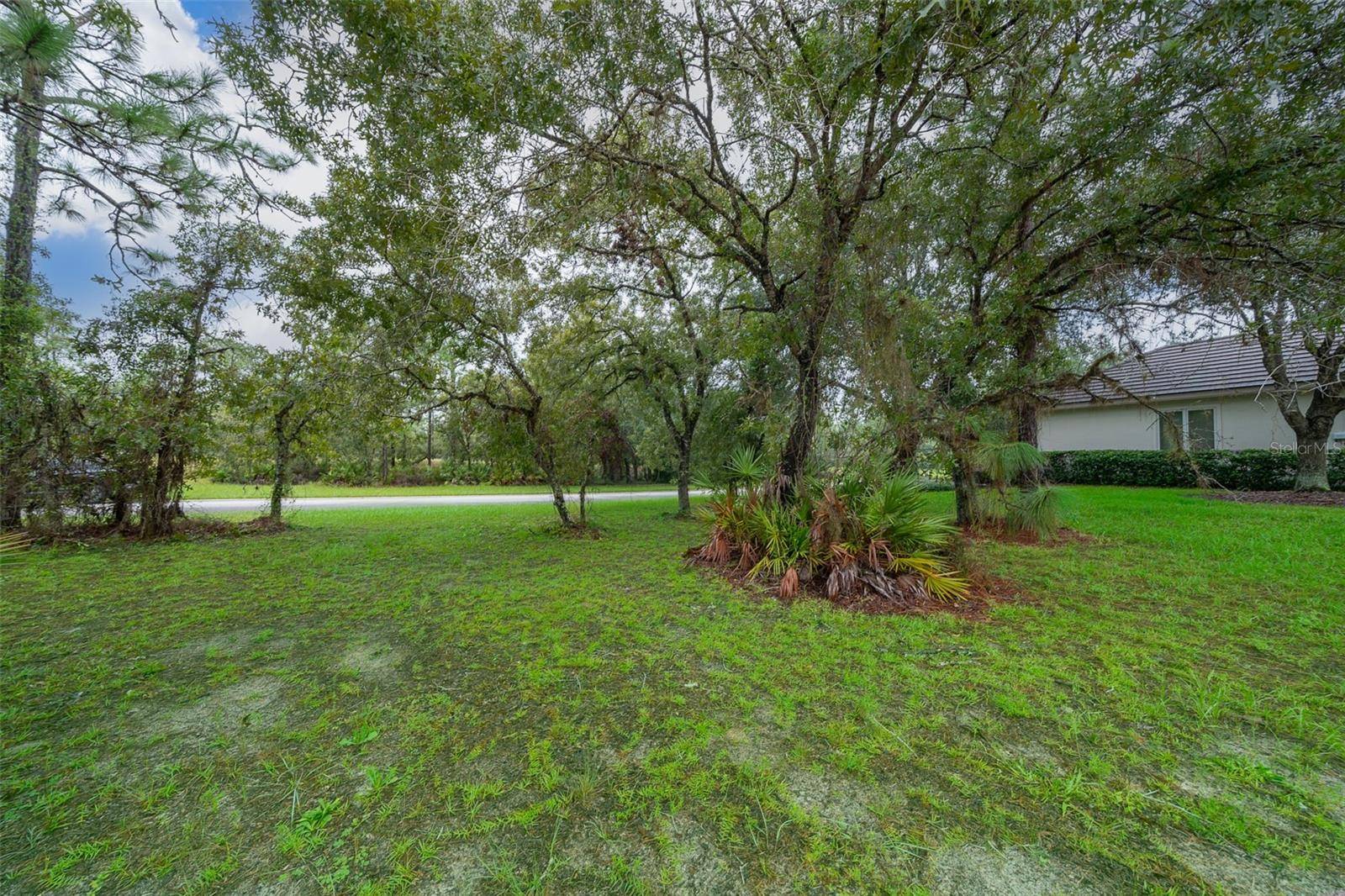 Lecanto, FL 34461,3467 N SPYGLASS VILLAGE PATH