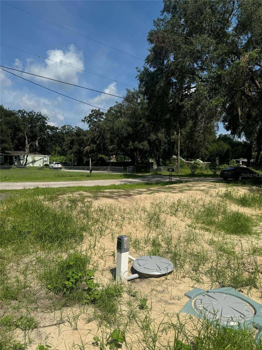 Land O Lakes, FL 34638,4088 WAJER RD