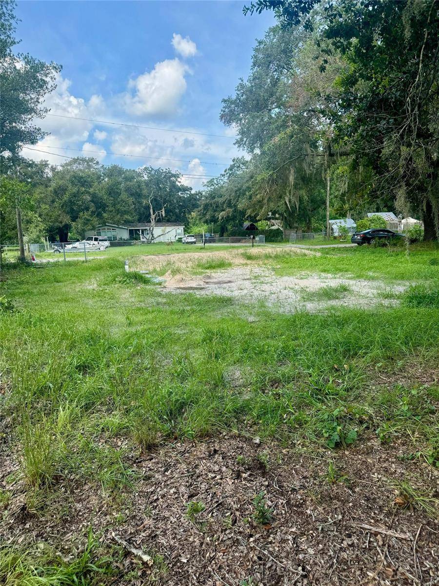 Land O Lakes, FL 34638,4088 WAJER RD