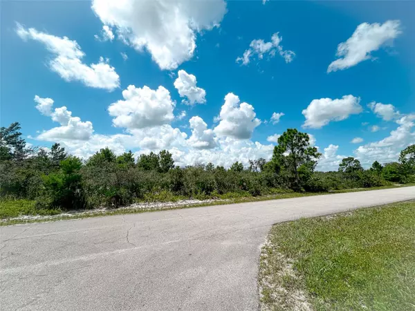 Sebring, FL 33872,7433 DOMENICO ST