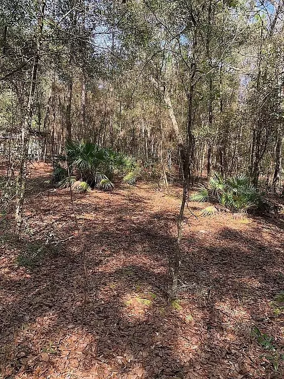 Keystone Heights, FL 32656,7095 RIDGE TRAIL RD