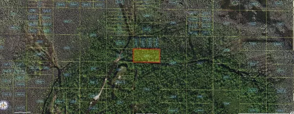HOLOPAW GROVES RD, St Cloud, FL 34773