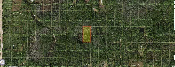 HOLOPAW GROVES RD, St Cloud, FL 34773
