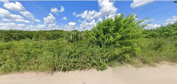St Cloud, FL 34773,HOLOPAW GROVES RD