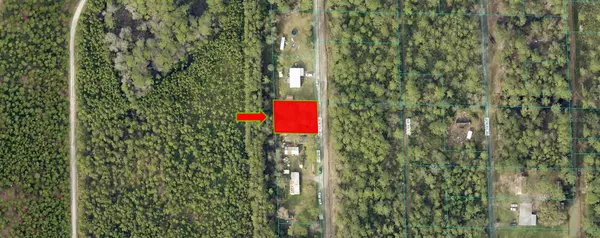 Citra, FL 32113,NE 65TH AVE