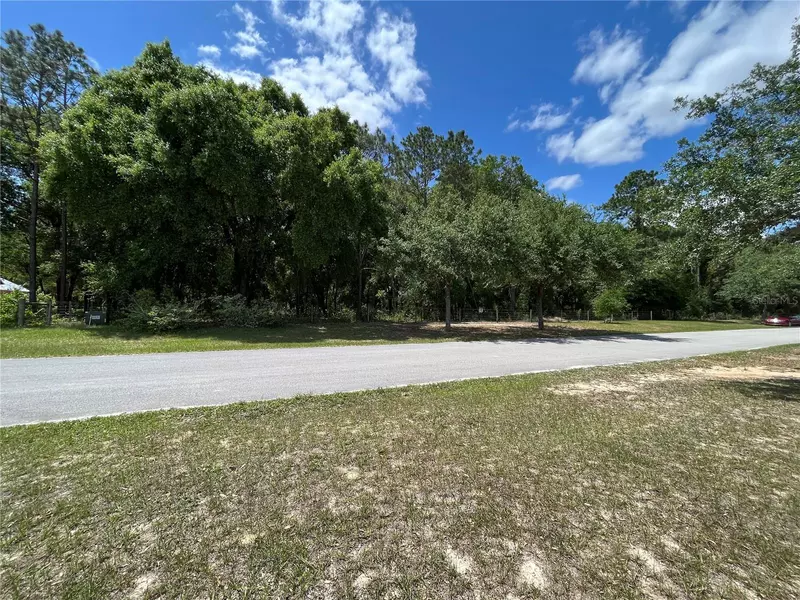 GRASS ROOTS RD, Groveland, FL 34736