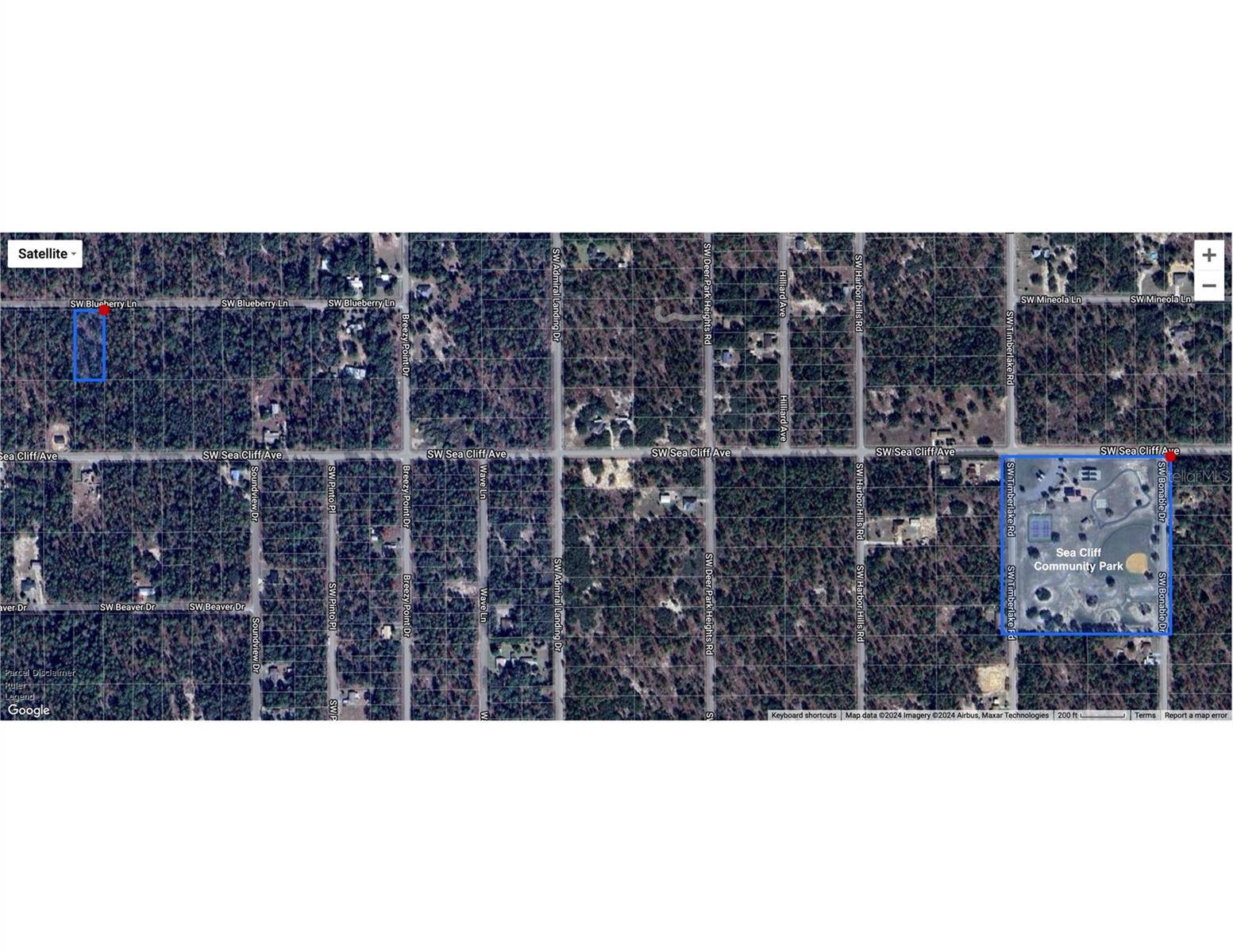 Dunnellon, FL 34431,TBD SW BLUE BERRY LN