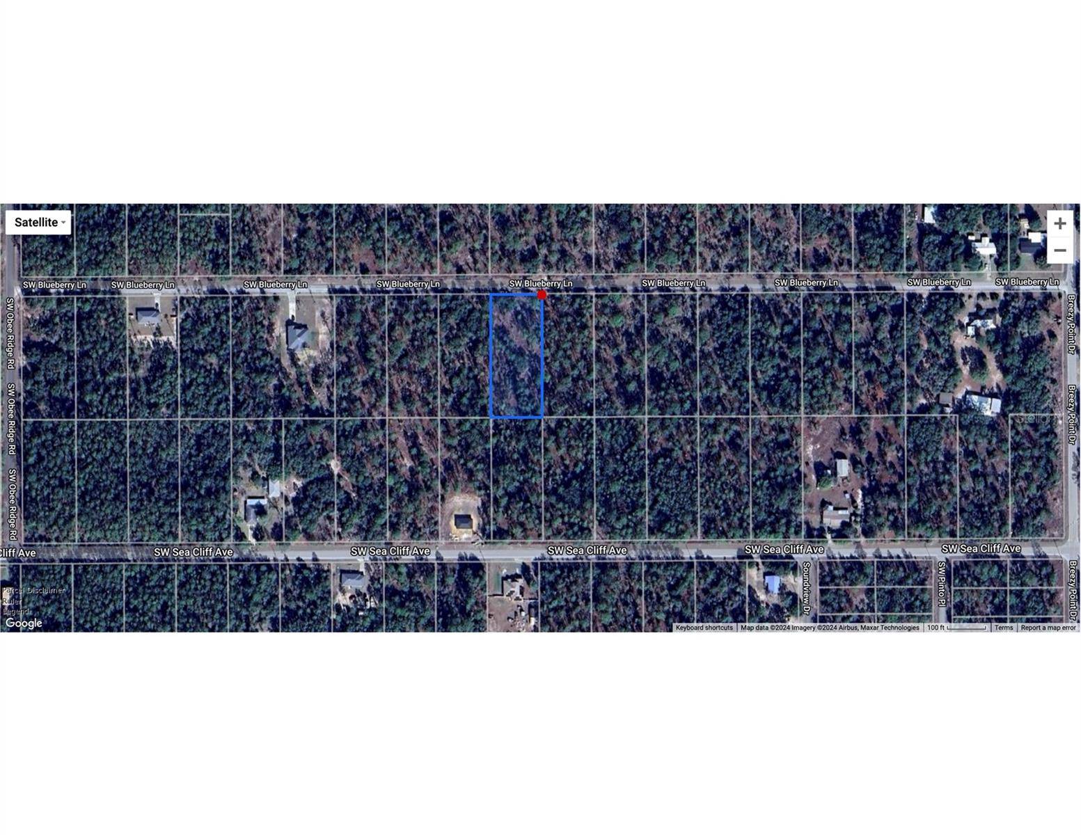 TBD SW BLUE BERRY LN, Dunnellon, FL 34431