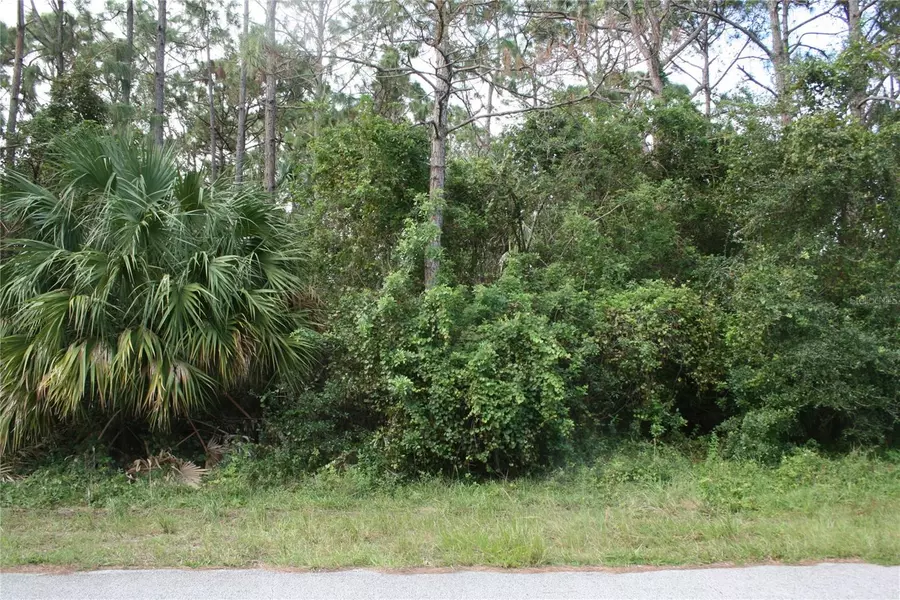 Lot 7 SW 159TH CT, Ocala, FL 34481