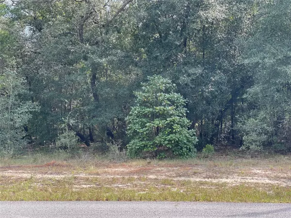 Dunnellon, FL 34431,Lot 6 - 00 SW GREEN BAY DR