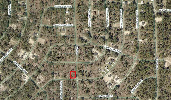 Ocklawaha, FL 32179,TBD FISHER LANE TRAK