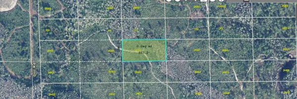 Orlando, FL 32820,DILL RD