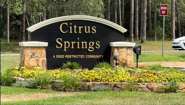 Citrus Springs, FL 34434,8451 N PINNACLE DR