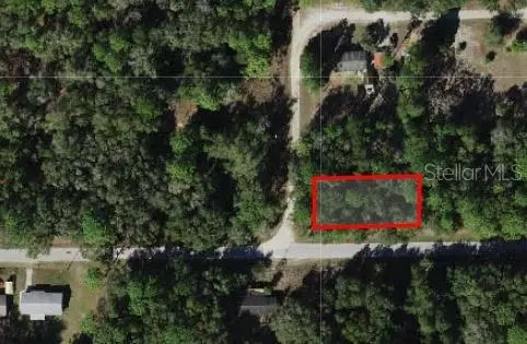 10045 N MIAMI TER, Dunnellon, FL 34433