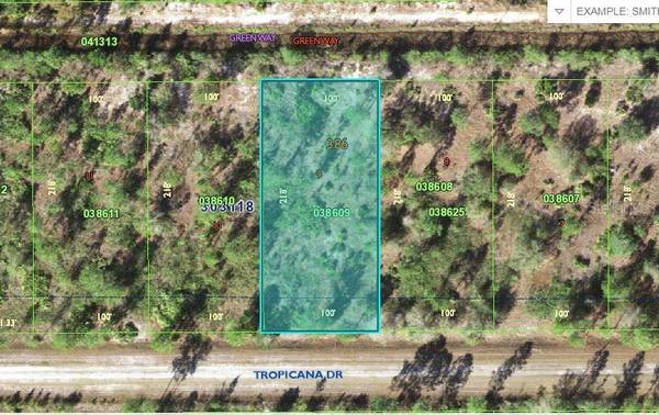 518 TROPICANA DR, Indian Lake Estates, FL 33855