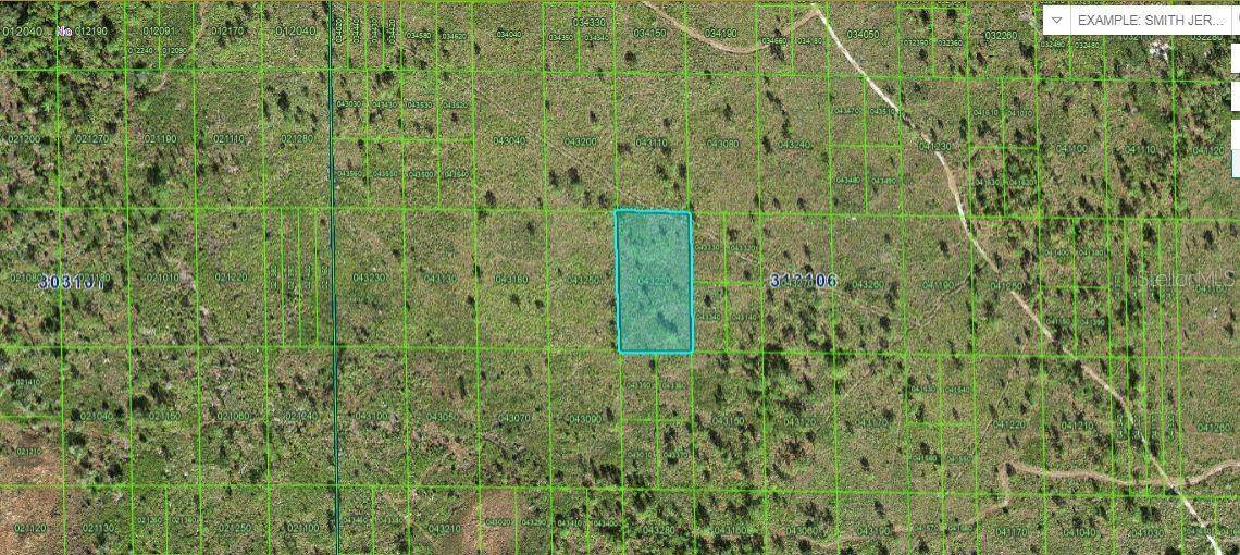 Lake Wales, FL 33898