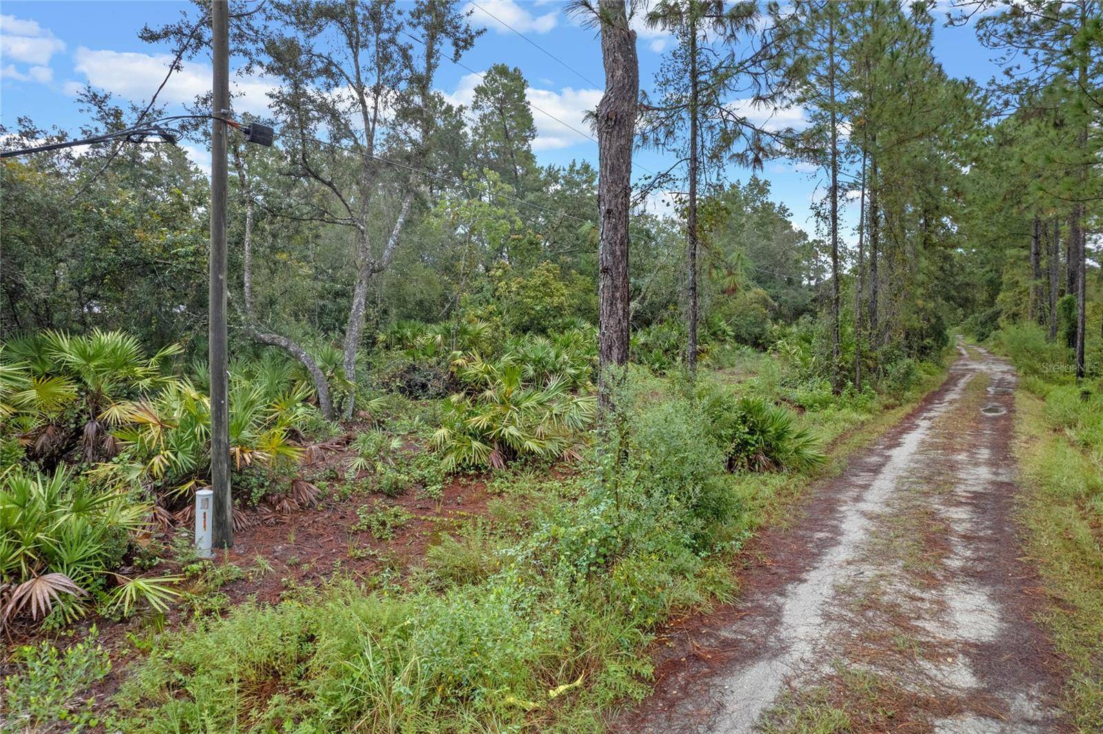 Eustis, FL 32736,32745 BLACKWATER OAKS DR