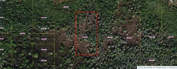 HOLOPAW GROVES RD, St Cloud, FL 34773