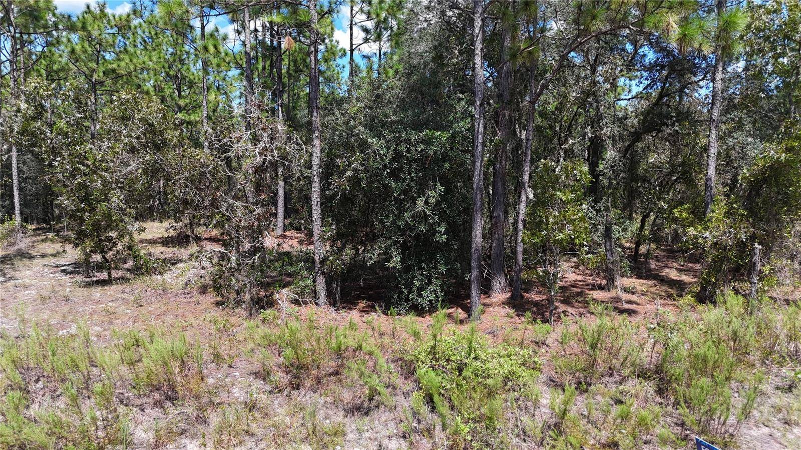 Lot 33 SW NEPTUNE BLVD, Dunnellon, FL 34431