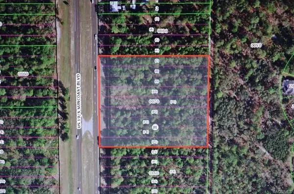 Homosassa, FL 34446,9115 S SUNCOAST BLVD