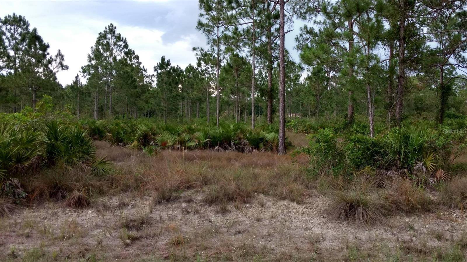 Lehigh Acres, FL 33972,1508 WASHINGTON AVE