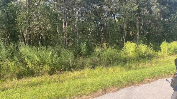 Inverness, FL 34453,3683 E BAXLEY PL