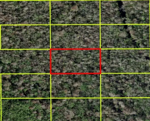 Poinciana, FL 34759,28,088178-81,488442, POINCIANA, FL 34759