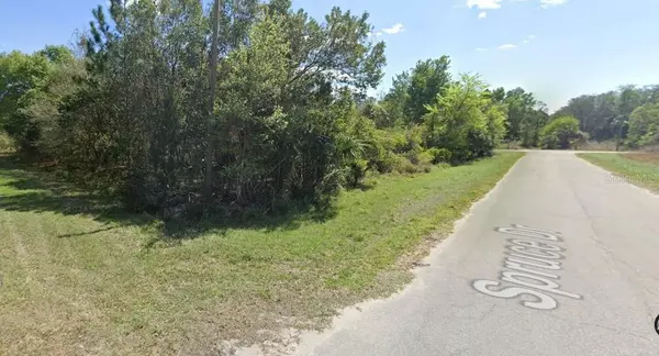 Lot 22 SPRUCE DR, Georgetown, FL 32139