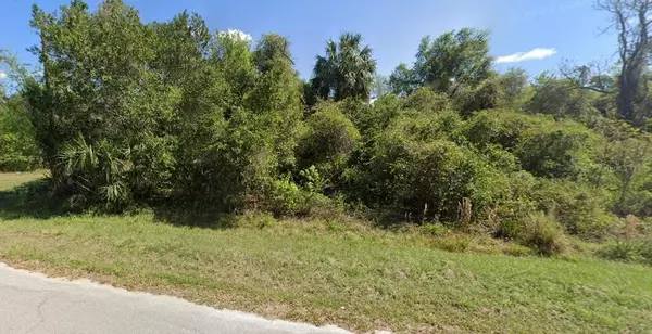 Georgetown, FL 32139,Lot 22 & Lot 21 SPRUCE DR