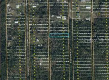 Christmas, FL 32709,1020 SABLE PALM DR