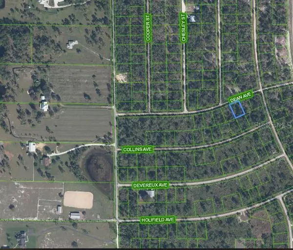 3236 DEAN AVE, Lake Placid, FL 33852
