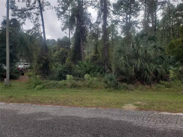 Eustis, FL 32736,APRICOT AVE