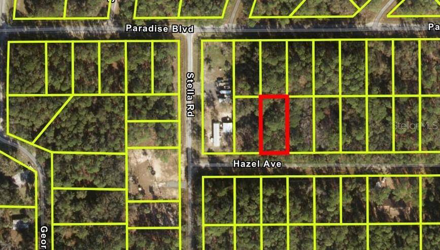 104 HAZEL AVE, Georgetown, FL 32139