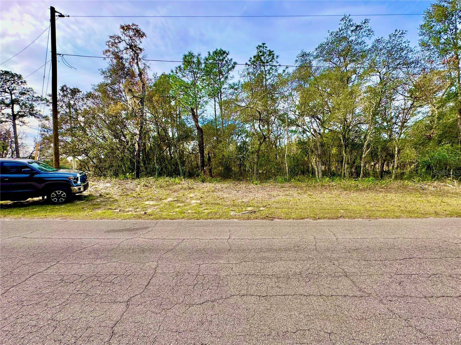 TBD SW 155TH STREET RD, Ocala, FL 34473