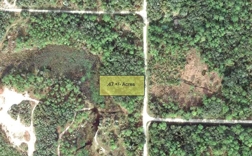 9111 CHIMNEY ROCK DR, Webster, FL 33597