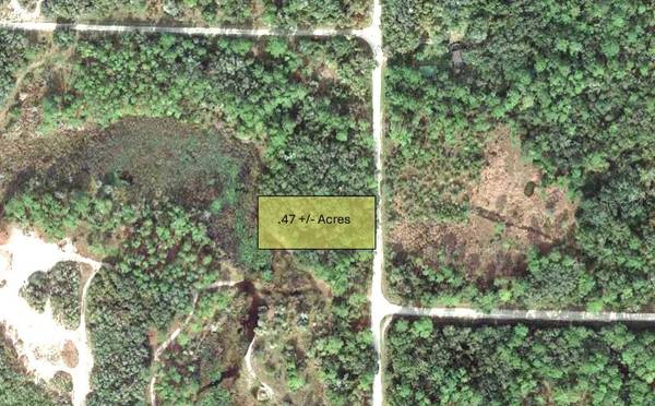 9111 CHIMNEY ROCK DR, Webster, FL 33597