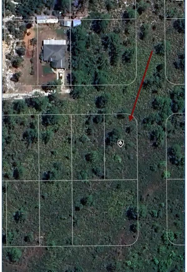 Lake Placid, FL 33852,628 GADWALL AVE