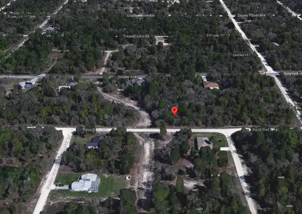 Brooksville, FL 34614,13253 RAIN OWL AVE